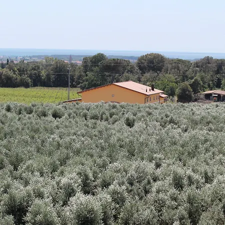 Tenuta Elisabetta Hotel