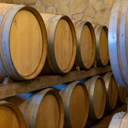 Tenuta Elisabetta Hotel