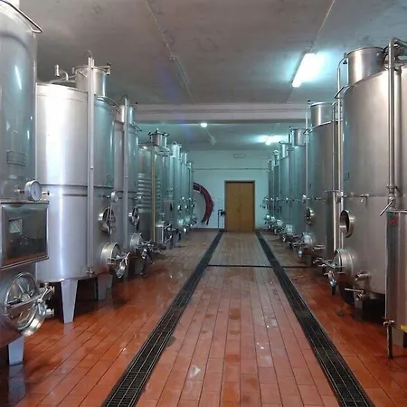 Hotel Tenuta Elisabetta Collemezzano