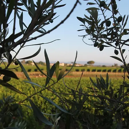 Agrihotel Elisabetta Hotel 3*