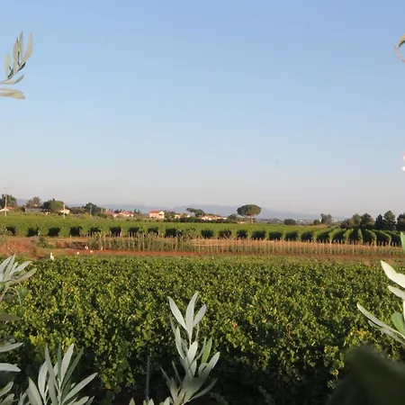 Hotel Tenuta Elisabetta 3*