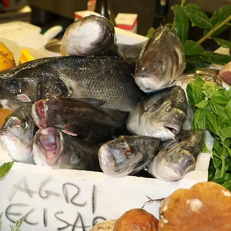 伊丽莎白阿利酒店 酒店 Collemezzano